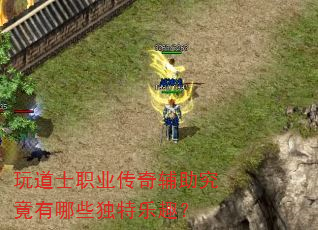 ���ʿְҵ���渨����������Щ������Ȥ��