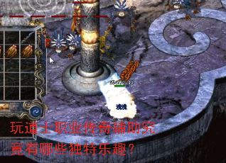 ���ʿְҵ���渨����������Щ������Ȥ��