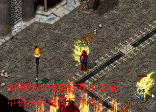��λ�ȡ������Ϸ�к��������ߵİ����ųƺţ�