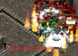 ��ʦְҵ��ʹ�ഫ�渨�����⣿