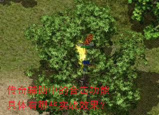 ���渨���еĺϻ����ܾ�������ЩʵսЧ����