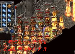 ��ʦ���룿���������渨����������֮��