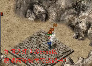 ���ѡ������boss�Ի�ȡ�ߵȼ����漼���飿