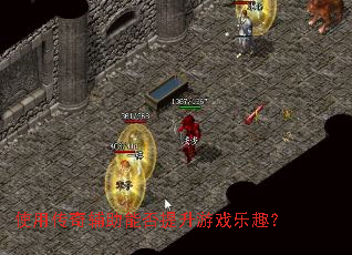 ʹ�ô��渨���ܷ�������Ϸ��Ȥ��
