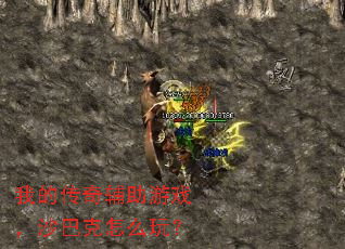 �ҵĴ��渨����Ϸ��ɳ�Ϳ���ô�棿