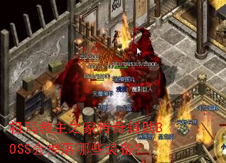 �������֮�Ҵ��渨��BOSS�������Щװ����