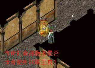 ��������汾�Ƿ��ʺ�ʹ�ø������ߣ�