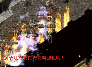 ʨ�Ӻ���Ҫ���渨��ǿ����
