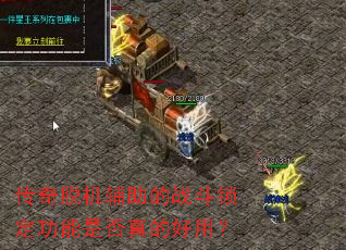 �����ѻ�������ս�����������Ƿ���ĺ��ã�