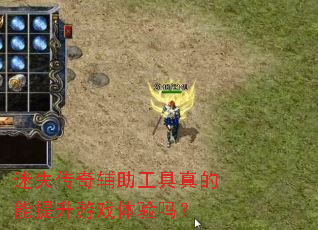 ��ʧ���渨�����������������Ϸ������