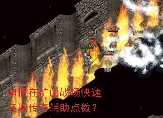 ����ڿ�ɽս�����ٻ�ȡ���渨��������
