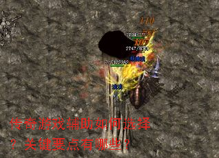 ������Ϸ�������ѡ�񣿹ؼ�Ҫ������Щ��