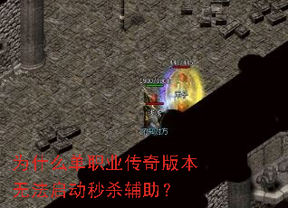 Ϊʲô��ְҵ����汾�޷�������ɱ������