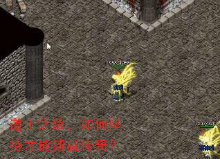 ��ʿ֮·����μ�ֲ������ʹ��棿