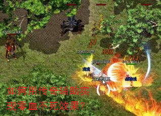 ����ô��渨��ʵ����Ѫ����Ч����
