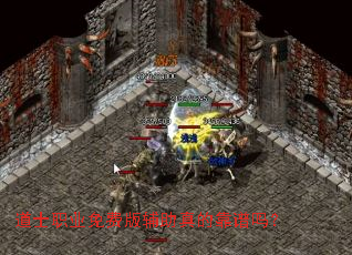 ��ʿְҵ��Ѱ渨����Ŀ�����