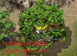 ������ô��渨��������ʦ���������ʣ�