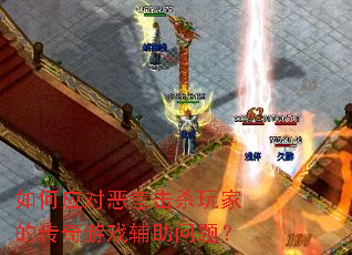 ���Ӧ�Զ����ɱ��ҵĴ�����Ϸ�������⣿