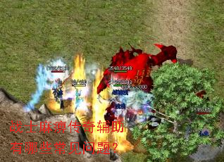 սʿ��Դ��渨������Щ�������⣿