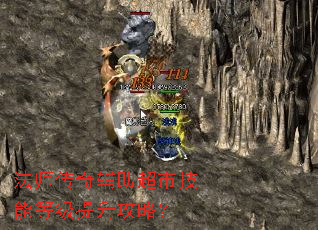 ��ʦ���渨�����м��ܵȼ��������ԣ�