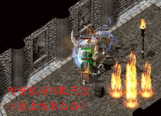 ����˽�������޷�С��������ô�죿