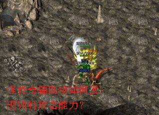 �ִ��渨�������չ�ֶ��ع���������