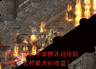 ����˽��������ο����һ�����������������棿