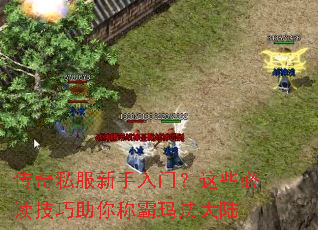 ����˽���������ţ���Щ�ض���������ư��귨��½