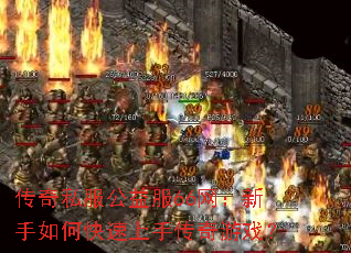����˽�������66����������ο������ִ�����Ϸ��
