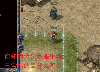 你知道传奇私服中猪洞三宝指的是什么吗? 你知道传奇私服中猪洞三宝指的是什么吗?