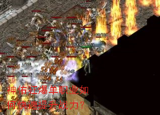 ���ӿ񱬵�ְҵ��ο�������ս����