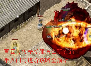 ���ƴ������·���ô�棿������������׹���ȫ����