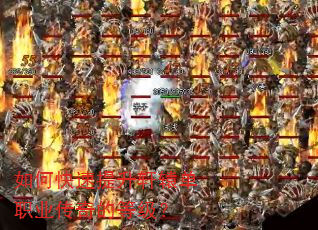 ��ο���������ԯ��ְҵ����ĵȼ���