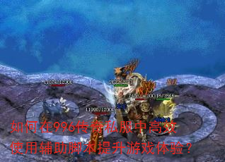 �����996����˽���и�Чʹ�ø����ű�������Ϸ���飿