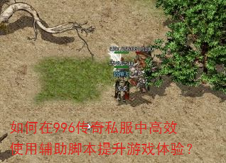 �����996����˽���и�Чʹ�ø����ű�������Ϸ���飿