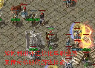 �����������Ż���ְҵ��Ѫ����˽������Ϸ���飿