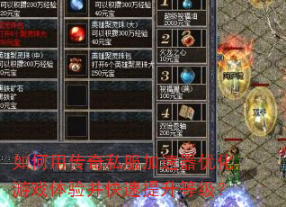 ����ô���˽���������Ż���Ϸ���鲢���������ȼ���
