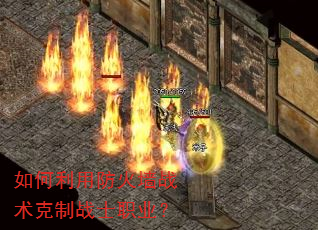 ������÷���ǽս������սʿְҵ��