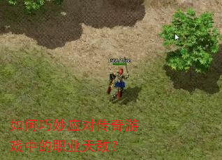 �������Ӧ�Դ�����Ϸ�е�ְҵ��У�