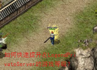 ��ο���������LegendPrivateServer����Ϸ�ȼ���