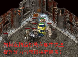 ����������ս˽���п�������ս�����ȡϡ��װ����