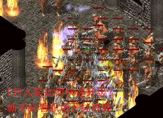 5月入职如何快速升级?新手必看职场开挂攻略 5月入职如何快速升级?新手必看职场开挂攻略
