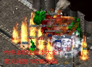 ���浥ְҵ�汾��ȫ�����������빥��ָ��