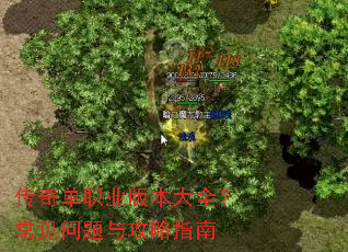 ���浥ְҵ�汾��ȫ�����������빥��ָ��