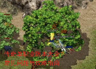 ���浥ְҵ�汾��ȫ�����������빥��ָ��