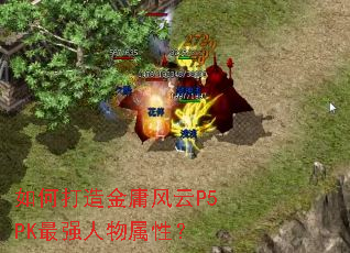 ��δ����ӹ����P5PK��ǿ�������ԣ�