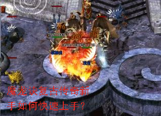 ħ�������Ŵ���������ο������֣�
