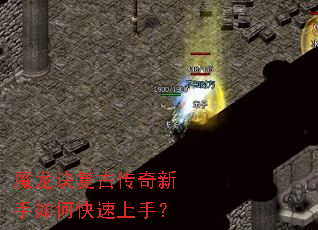 ħ�������Ŵ���������ο������֣�