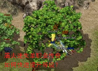������ʧ��ְҵ������ο��������ȼ���