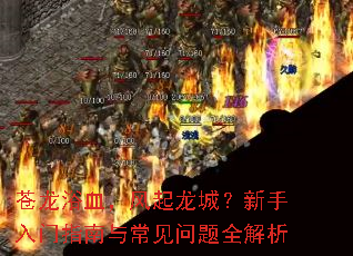 苍龙浴血,风起龙城?新手入门指南与常见问题全解析 苍龙浴血,风起龙城?新手入门指南与常见问题全解析